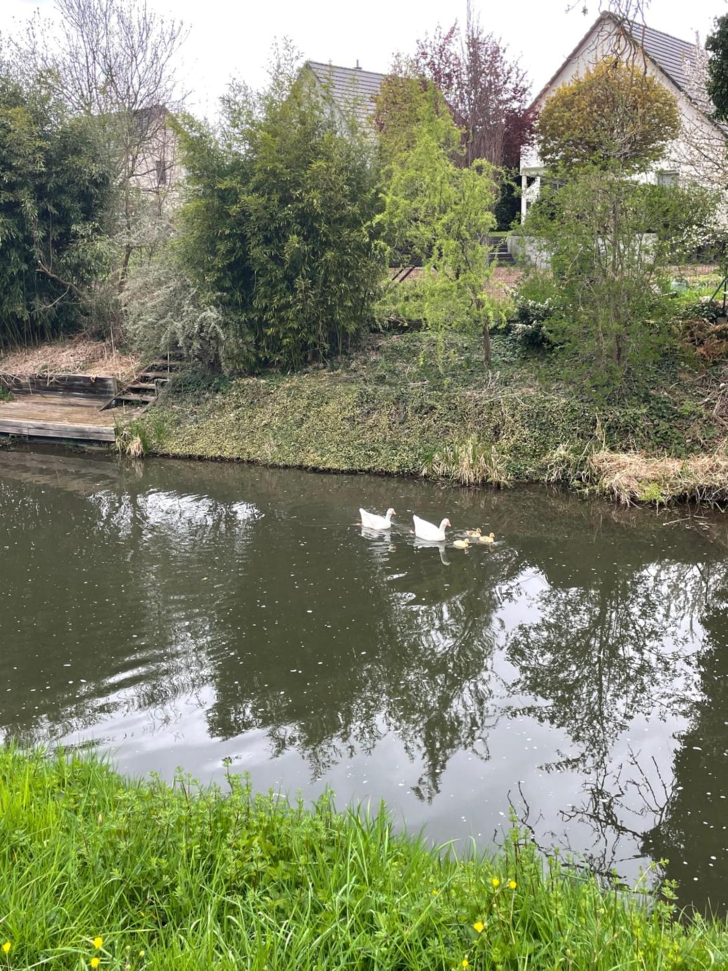 Le Petit Woerthel Wolxheim